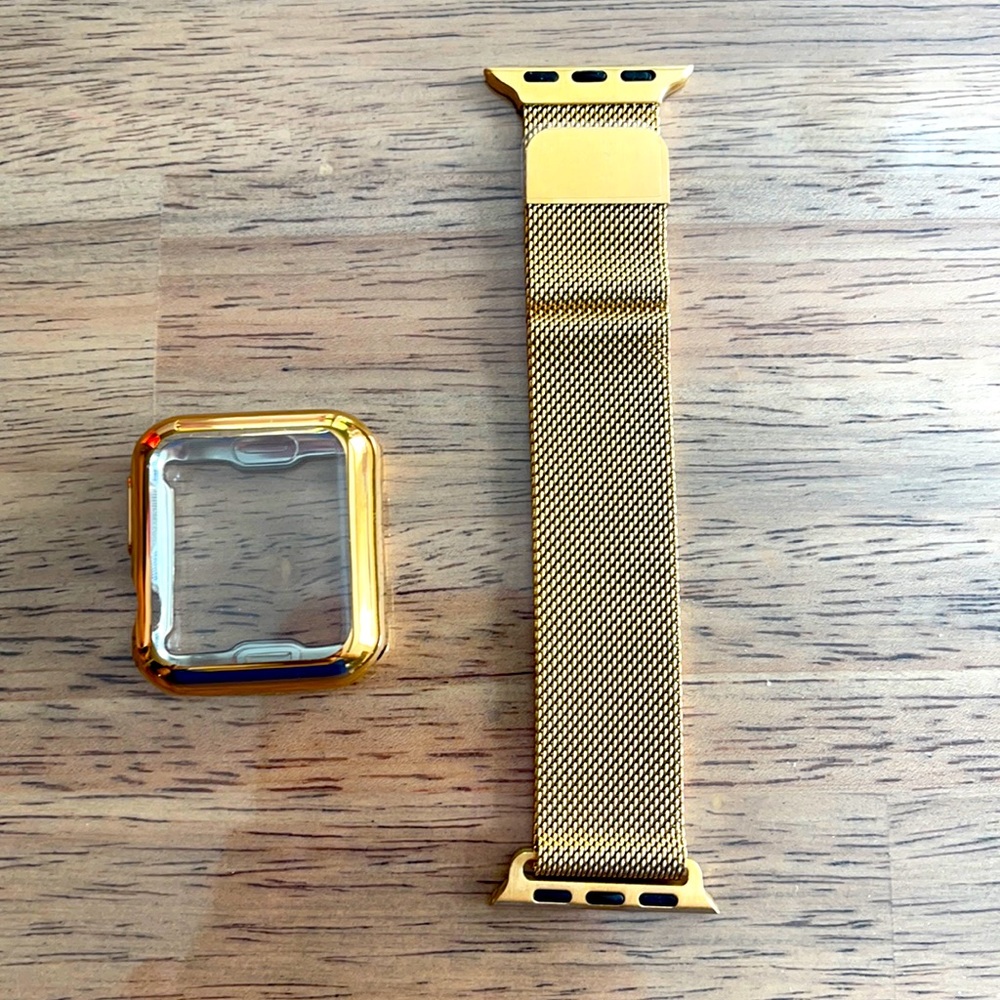 Watch band and case